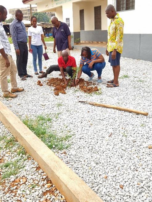 Volunteers planting seedlings while colleagues look on