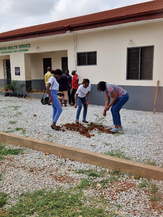 Volunteers digging planting holes beside a timber border