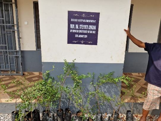 Potted seedlings arranged beside a wall with a plaque